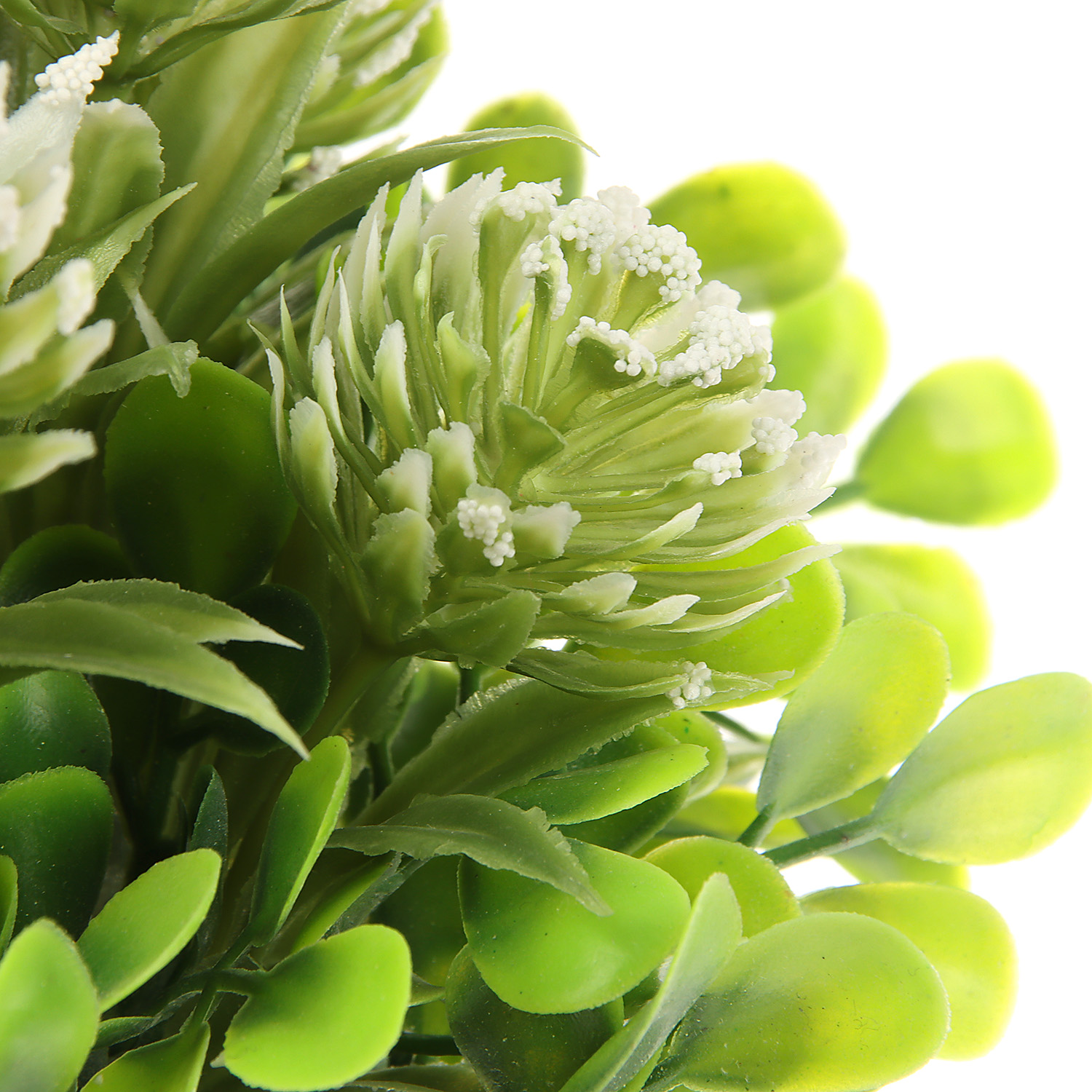 Бонсай в горшке "Агапантус" 8х18 см, микс 9750531