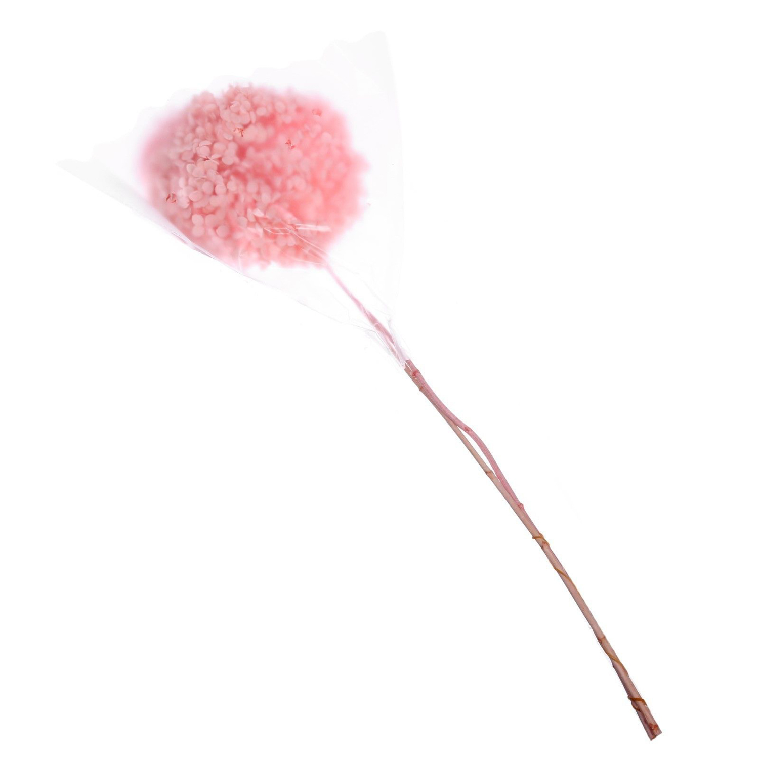 Сухоцвет Гортензия крупнолистовая, розовая, 1 веточка 50 - 70 см в упаковке  7749540