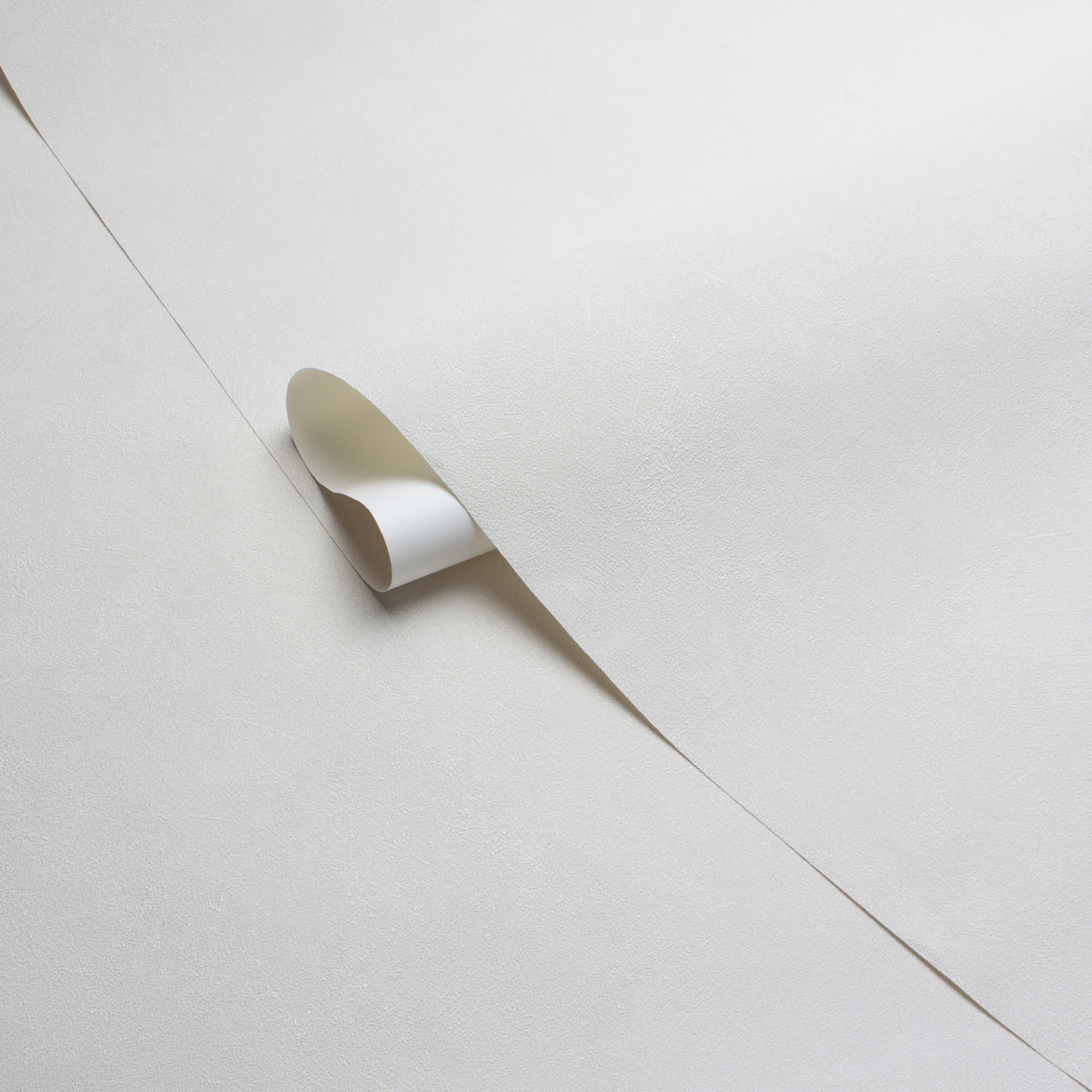 Обои  флиз Victoria Stenova Stenova Magnolia фон (беж.) 585111 1.06*10м *6