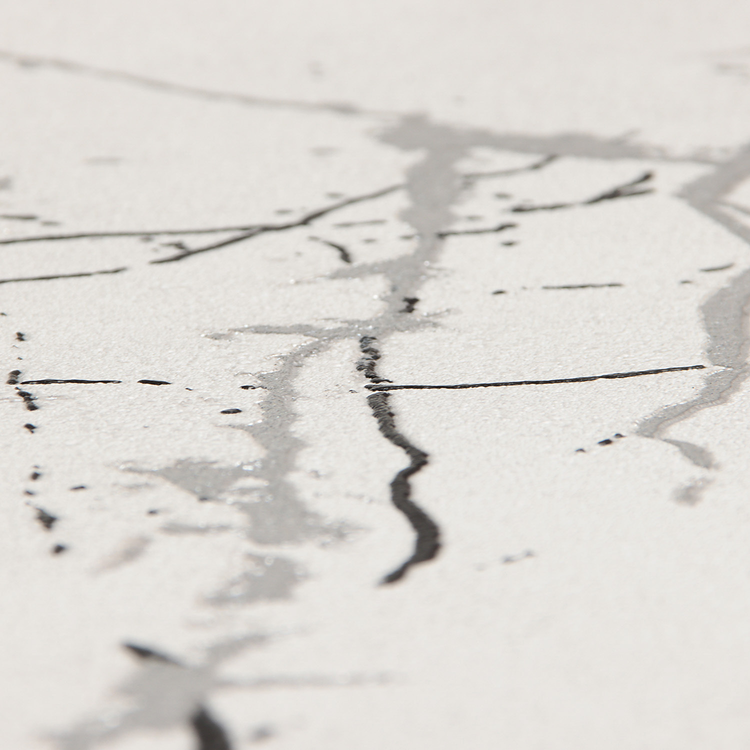 Обои флиз Ateliero Rinaldi 285631 1.06*10м *6