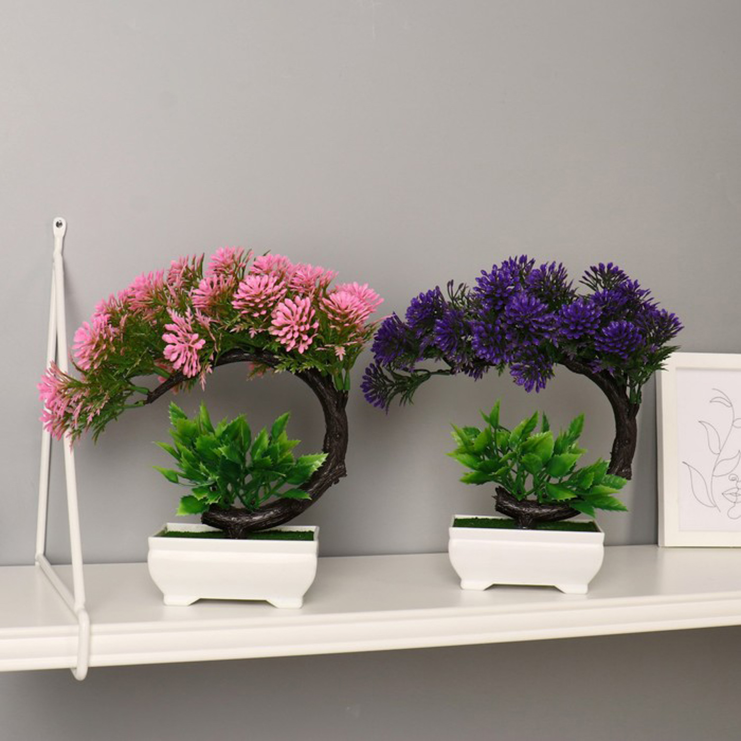 Бонсай "Селагинелла африканская" 10х20 см, микс 7081312