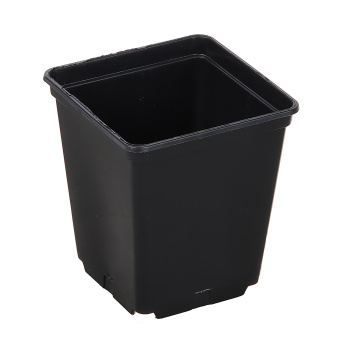 Набор горшков 250 мл для рассады Ангора, 12 шт., 8х7х7 см, пластик, черный