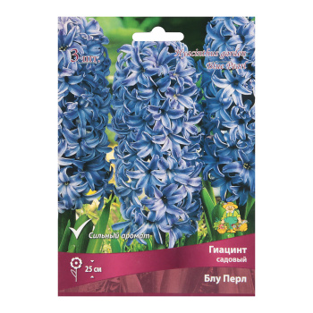 Гиацинт Садовый Блу Перл 14-15/3шт