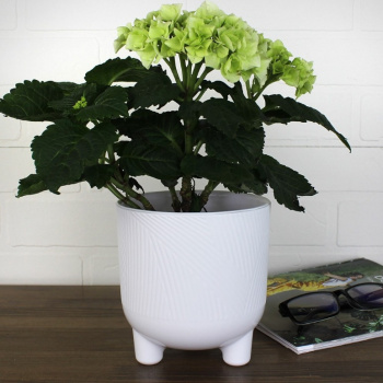 Кашпо пластм. "Фита" 1.45л d верха 130мм h140мм со вставкой Белый ФИ13-10 *1/15