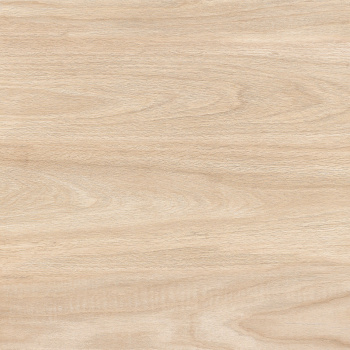 Керамогранит B60903 корич матовый 600*600*9,5 (0,36*5=1,8*30=54) Казахстан *54  АКЦИЯ