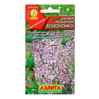 Семена Шалфей Вознесенский 24 мускатный 0,2-0,3гр Аэлита цв *10/500