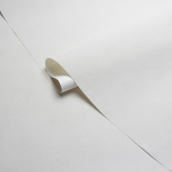 Обои  флиз Victoria Stenova Stenova Magnolia фон (беж.) 585111 1.06*10м *6