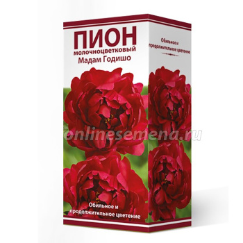 Пион молочноцветковый Мадам Годишо 2-3/Кор