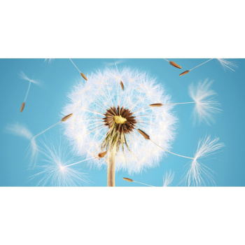 яяяФотообои OVK Design 230051 *1/6