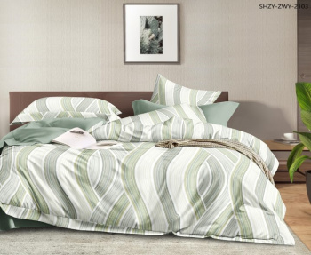 Постельное белье 2сп поплин на резинке Орхидея 6704, наволочки 70*70 - 2шт *1/4